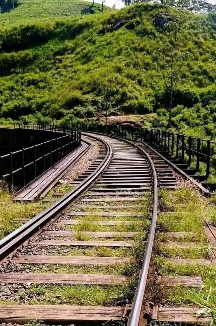 فندق Travelnest بادولا المظهر الخارجي الصورة